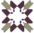 Makhbu